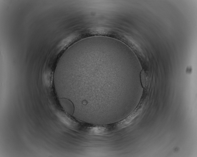X0000100190168200805301255