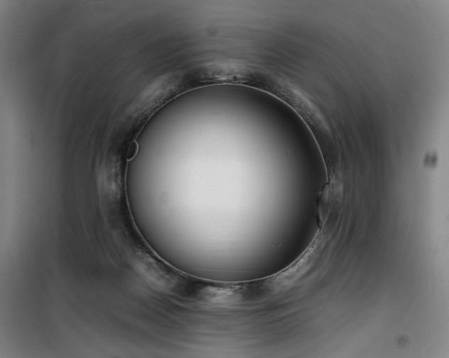X0000100190170200805301255