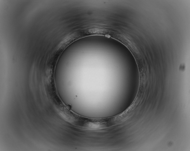 X0000100190171200805301255
