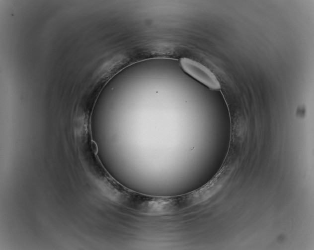 X0000100190172200805301255
