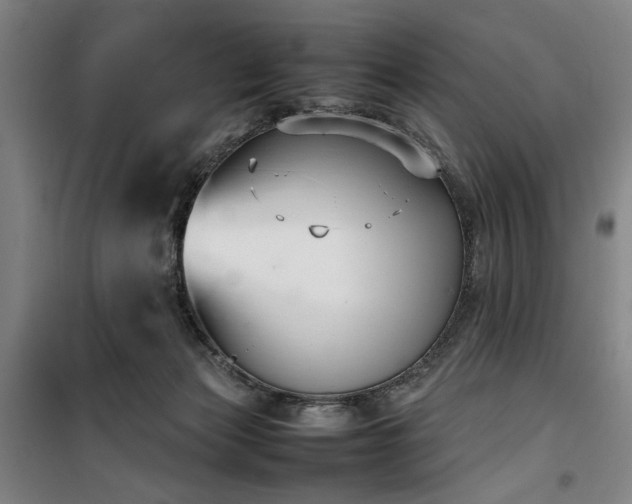 X0000100190173200805301255