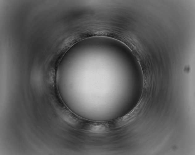 X0000100190175200805301255