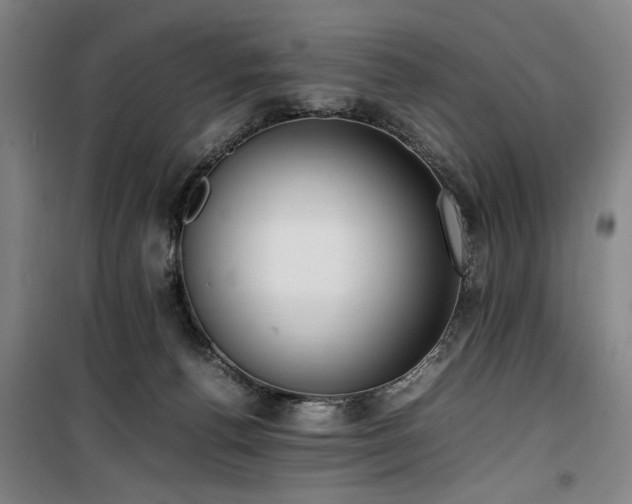 X0000100190176200805301255