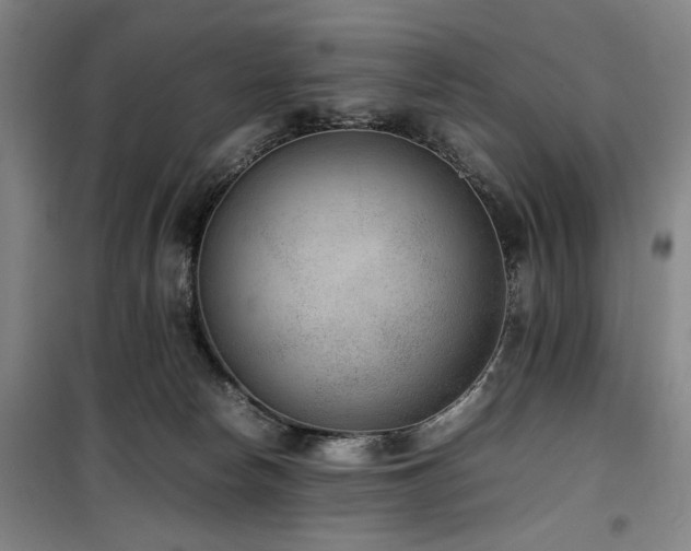 X0000100190178200805301255
