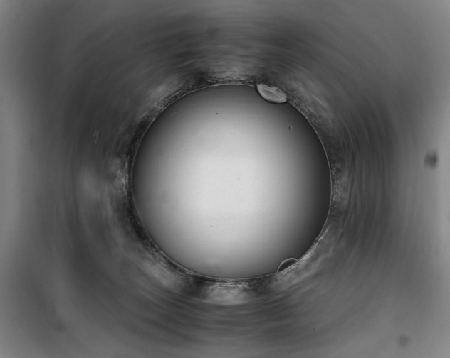 X0000100190179200805301255