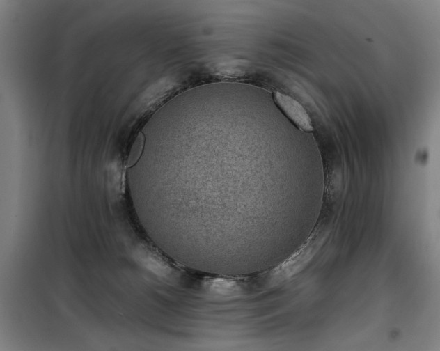 X0000100190180200805301256