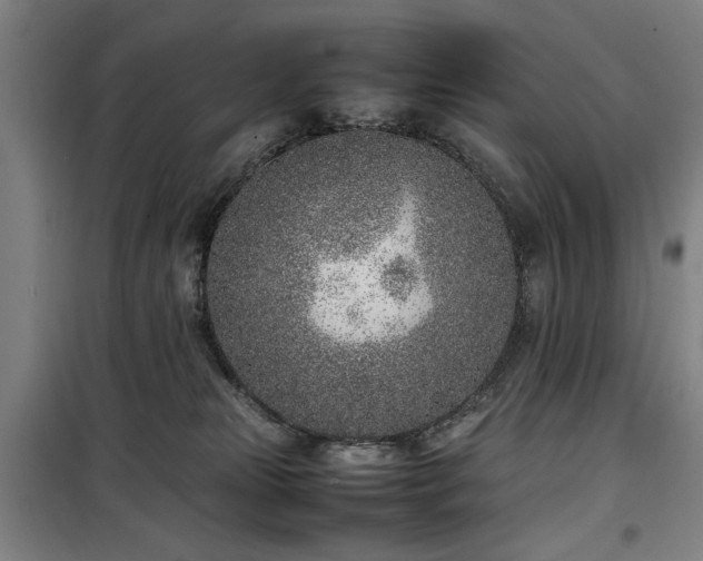 X0000100190181200805301256