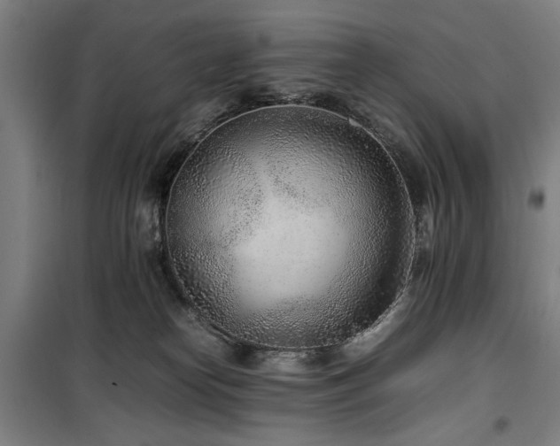 X0000100190182200805301256