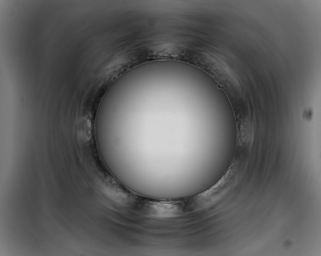 X0000100190183200805301256