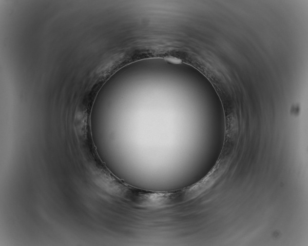 X0000100190184200805301256