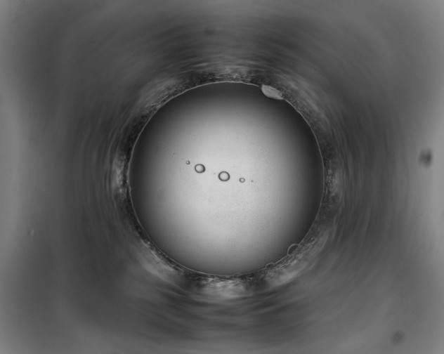 X0000100190185200805301256