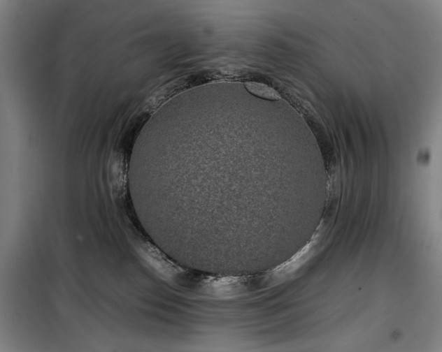 X0000100190186200805301256