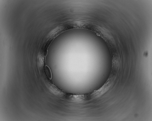 X0000100190188200805301256