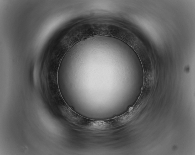 X0000100190189200805301256