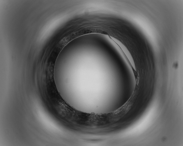 X0000100190190200805301256
