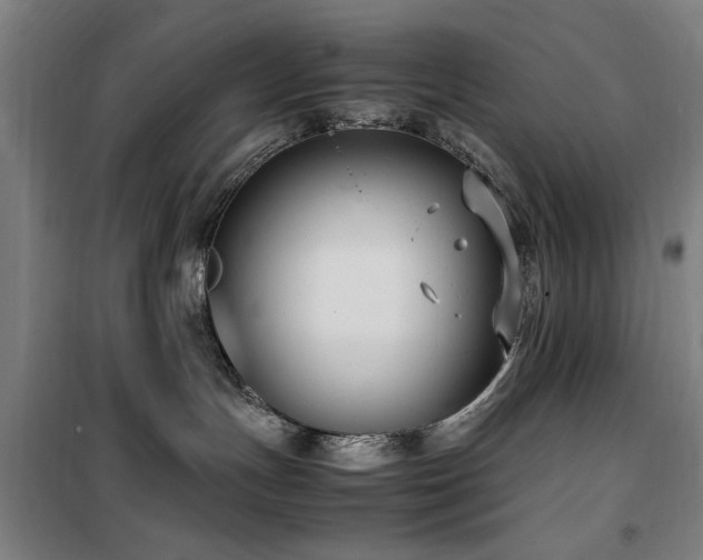 X0000100190191200805301256