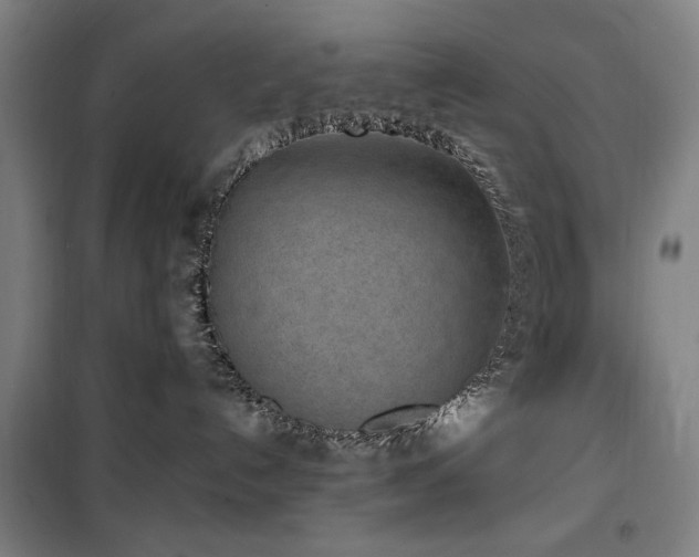 X0000100190192200805301256