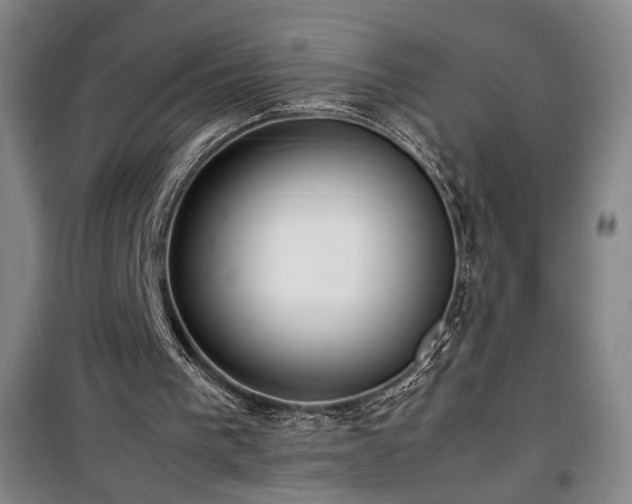 X0000100190193200805301255