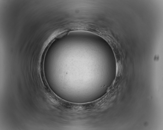 X0000100190195200805301255