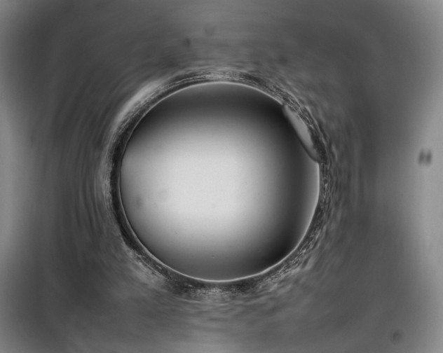 X0000100190197200805301255