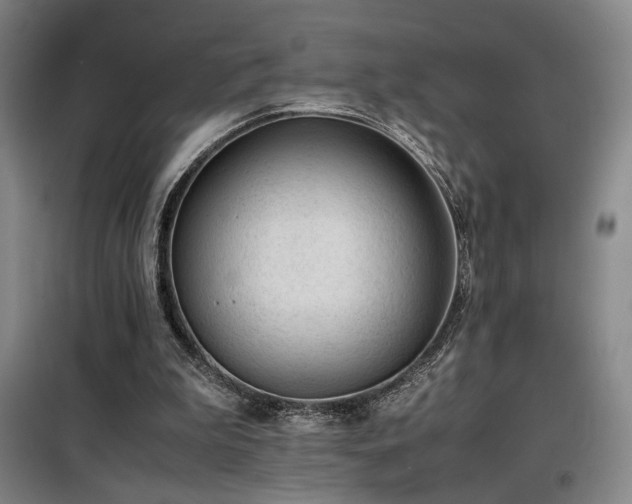 X0000100190199200805301255