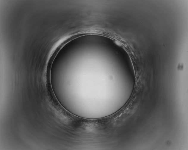 X0000100190200200805301255