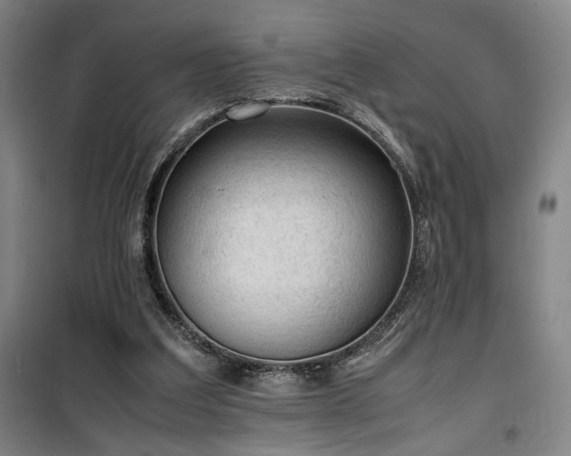 X0000100190203200805301255