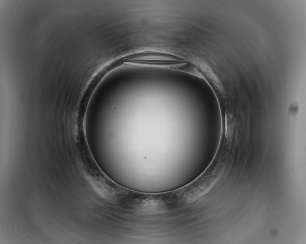 X0000100190204200805301255