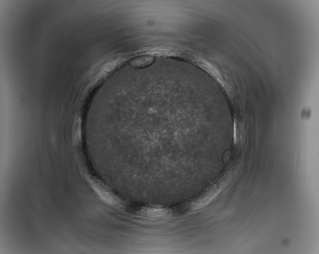 X0000100190205200805301255