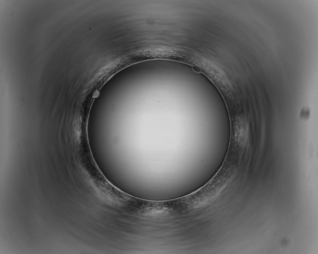 X0000100190206200805301255