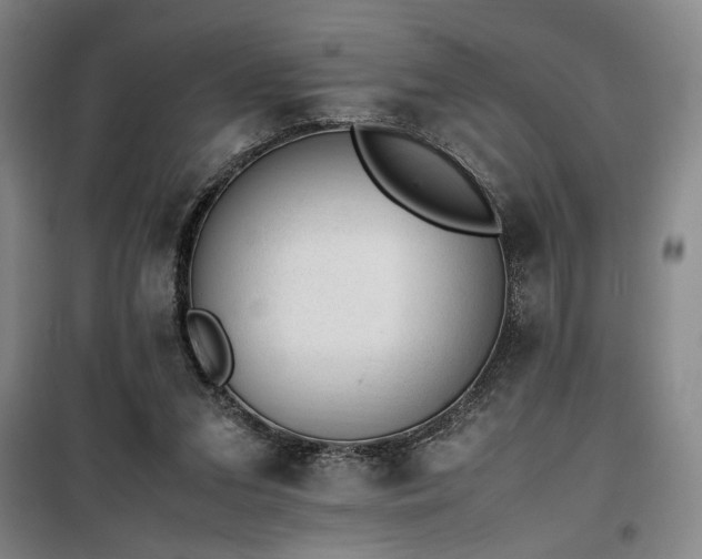 X0000100190207200805301255