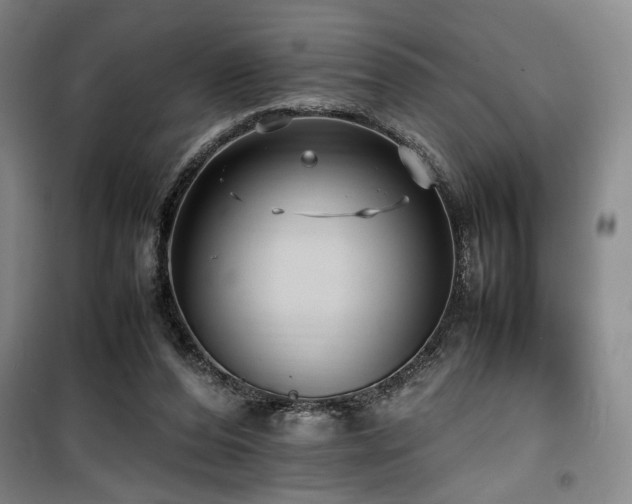 X0000100190208200805301255