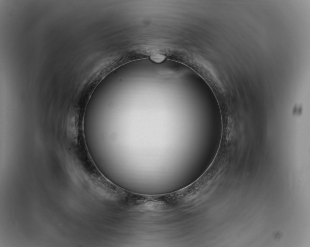 X0000100190210200805301255