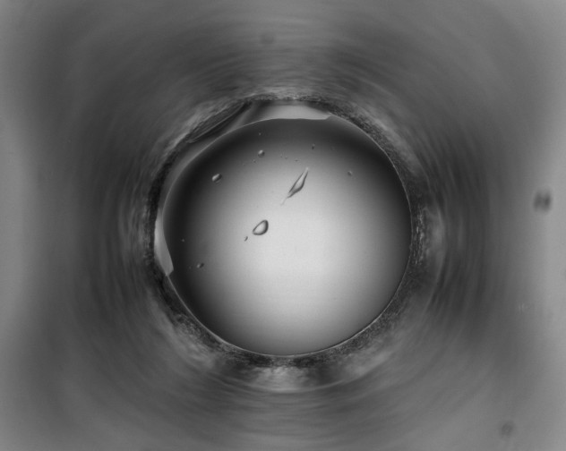 X0000100190212200805301255