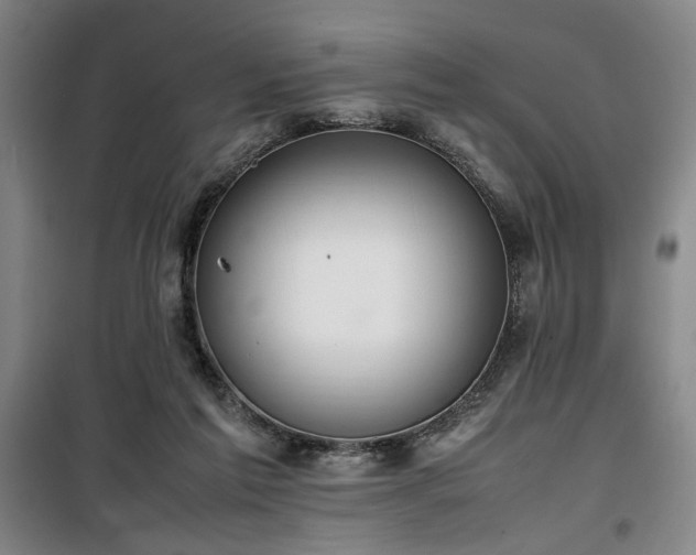 X0000100190213200805301255
