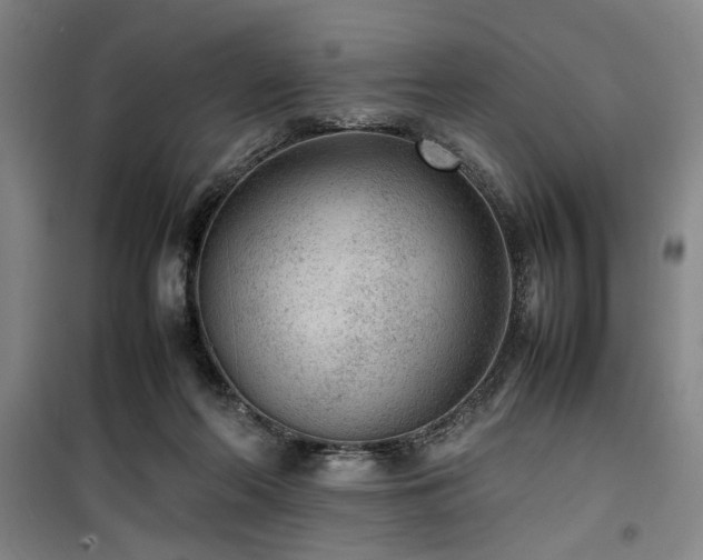 X0000100190214200805301255