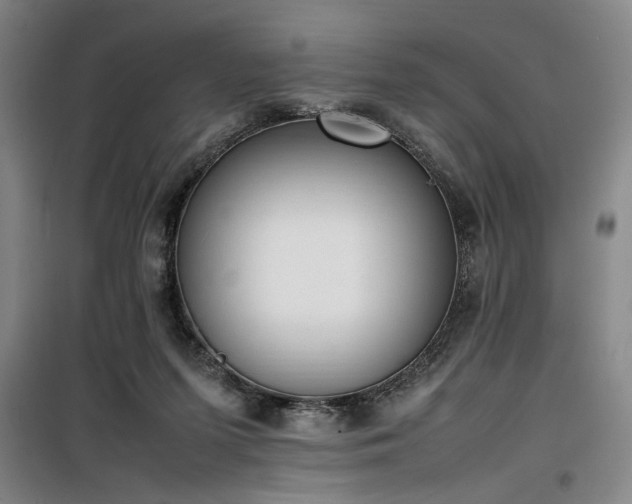 X0000100190215200805301255