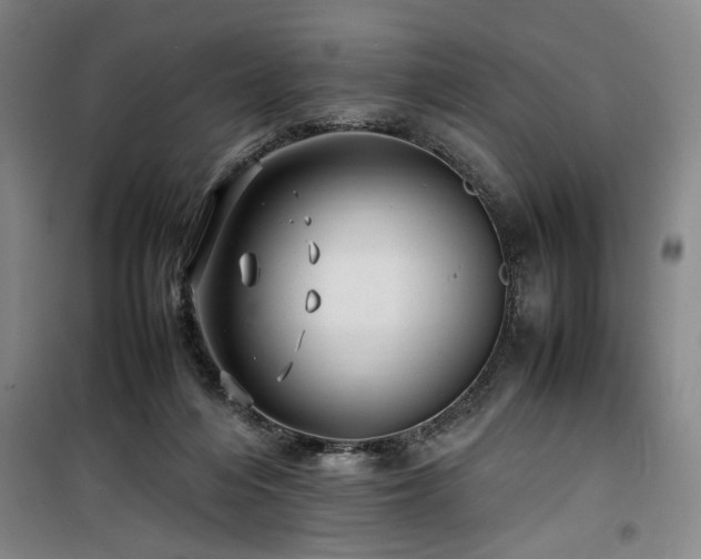 X0000100190216200805301255