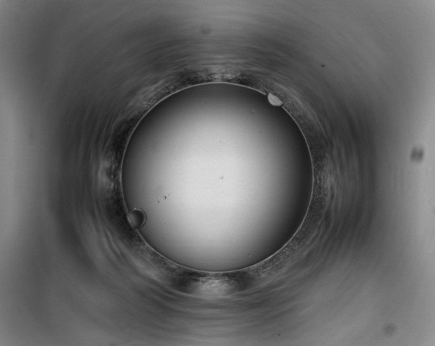 X0000100190218200805301255