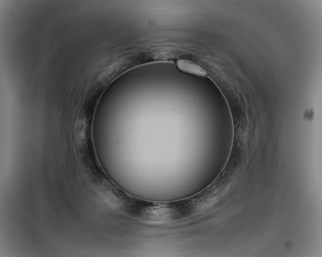 X0000100190219200805301255