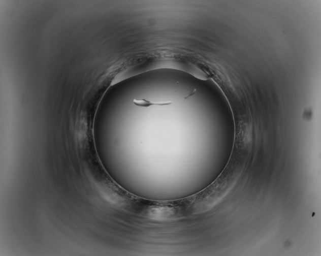 X0000100190220200805301255