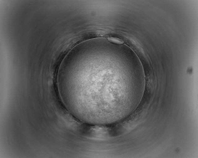 X0000100190221200805301255