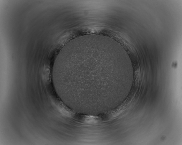 X0000100190222200805301255