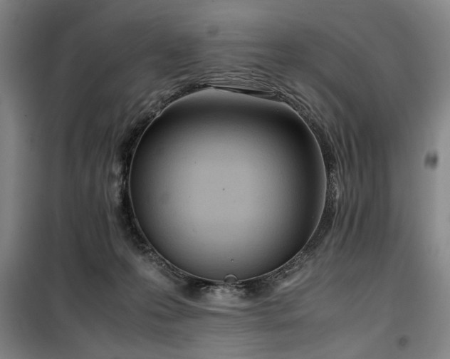 X0000100190223200805301255