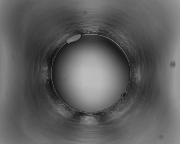X0000100190224200805301255