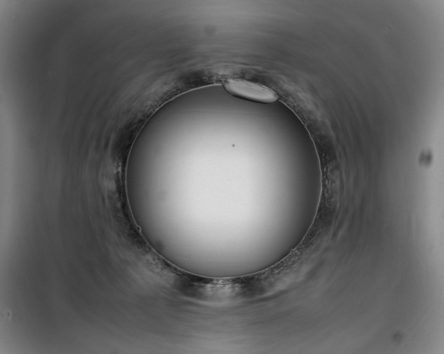 X0000100190225200805301255
