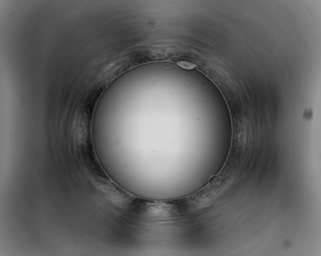 X0000100190226200805301255