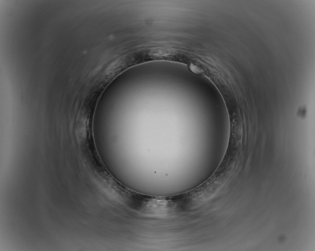 X0000100190227200805301255