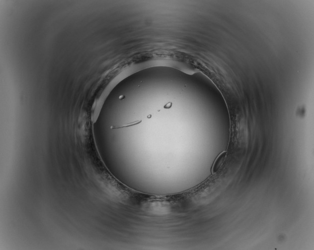 X0000100190228200805301255