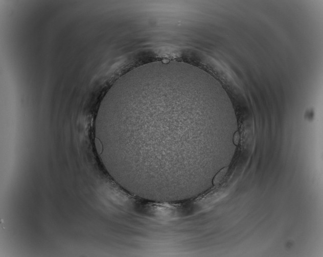 X0000100190229200805301255